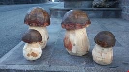 porcini 